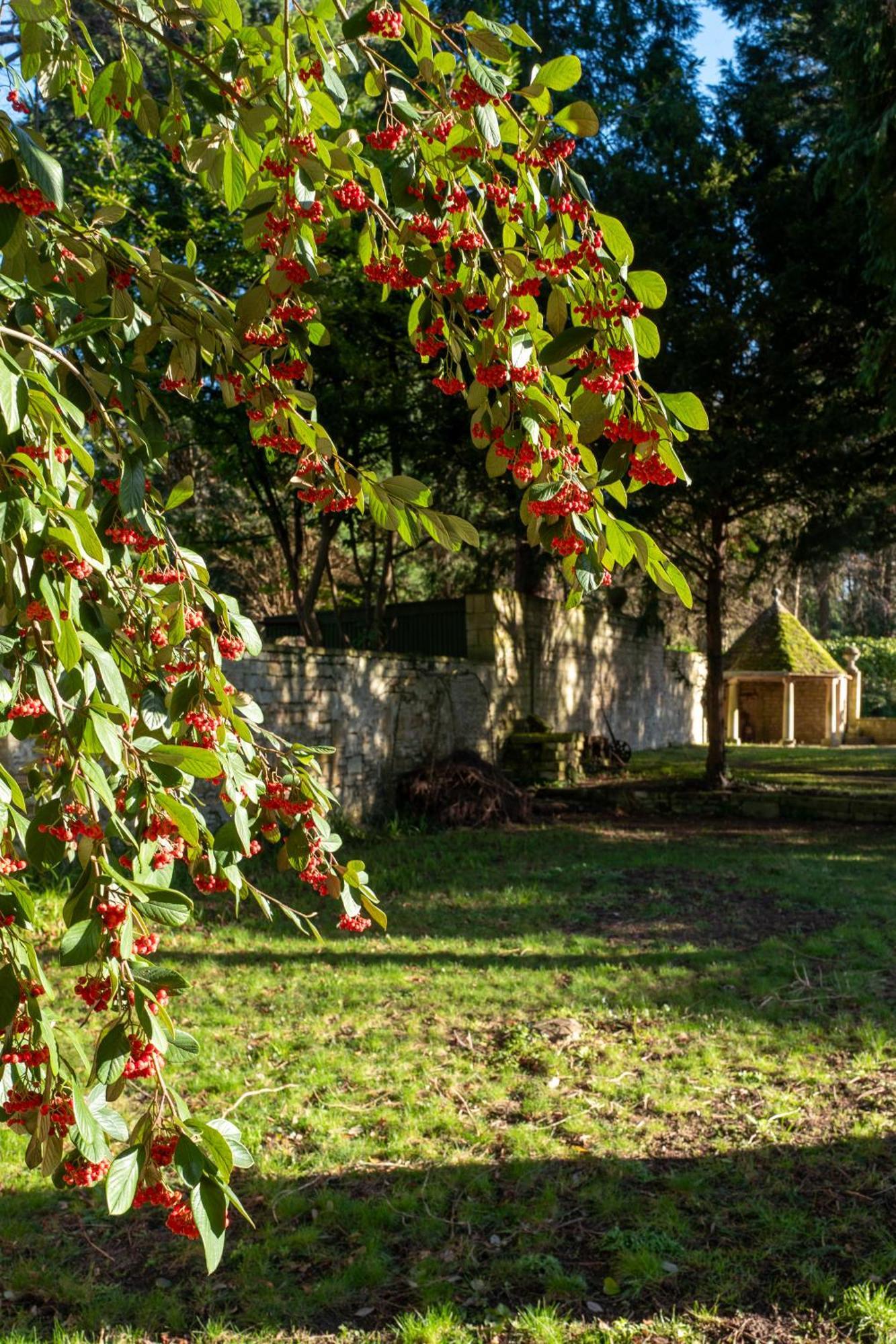 The Hall - Historic Grade I-Listed Jacobean Mansion Bradford-On-Avon Ngoại thất bức ảnh