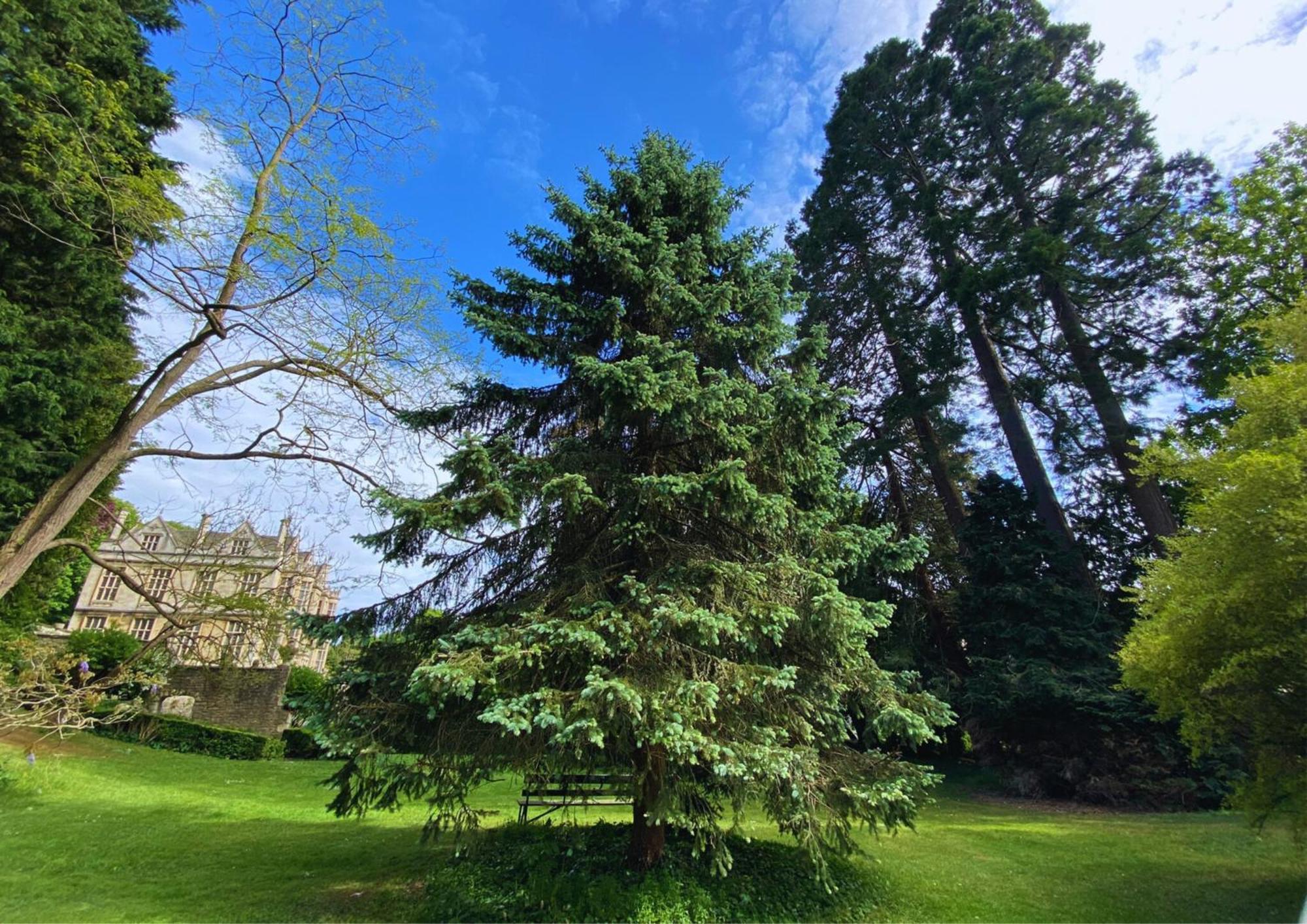 The Hall - Historic Grade I-Listed Jacobean Mansion Bradford-On-Avon Ngoại thất bức ảnh